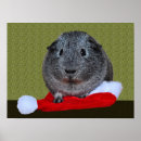 Recherche de guinea pig posters Animal