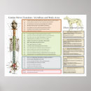 Search for spinal Spine