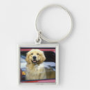 Search for windows keychains Red