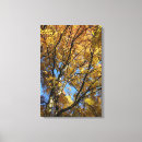 Search for autumn trees canvas prints Leaf