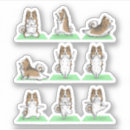 Recherche de sheltie stickers Schétland