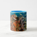 Search for coral color mugs Fish