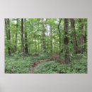 Recherche de ivrognesse posters Forêt