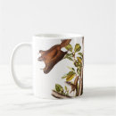 Search for flying squirrels mugs Wildlife