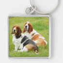 Search for hounds keychains Bassets