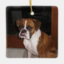 Search for brindle ornaments Pet
