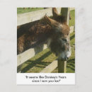 Search for relative quantity postcards Relatives