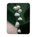 Recherche de fleur lys magnets Vert