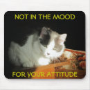 Search for a with attitude electronics Feline