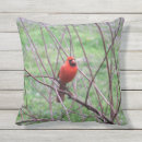 Search for cardinal pillows Red cardinal bird