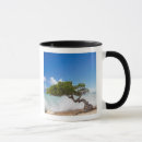 Search for aruba mugs Island