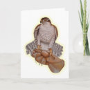 Search for goshawk Falconry