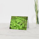 Search for cancer christmas cards Photography