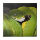 Recherche de python carreaux Serpent