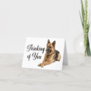 Recherche de berger blanc vœux cartes Chien
