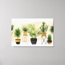Recherche de cactus art Plante d'intérieur