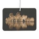 Search for animal accessory car interior car accessories Africa
