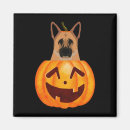 Recherche de canines magnets Allemand