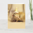 Search for rodent invitations Hamster