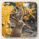 Search for buck deer barware Whitetail