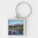 Search for predators rings keychains Wildlife