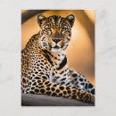 Recherche de taches léopard cartes postales Safari