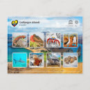 Recherche de galapagos cartes postales Galápagos