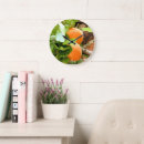 Recherche de prunes horloges Pour tous