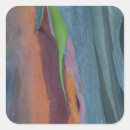 Search for gums stickers Usa