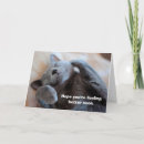Search for cat get well cards Sick