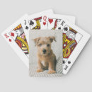 Recherche de bébé jeux de cartes Chien