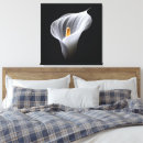 Search for white lily canvas prints Black