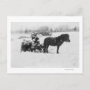 Search for sledding postcards Collection