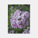 Search for bumblebee blankets Insect