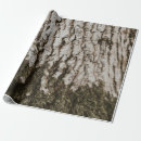 Search for tree trunk wrapping paper Pattern