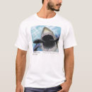 Recherche de megalodon tshirts Requin