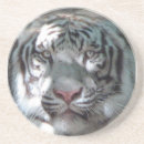 Recherche de tigres dessous de verres Animaux sauvages