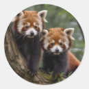 Recherche de panda party autocollants Contenu générationnel