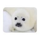 Recherche de soutenu magnets Naissance