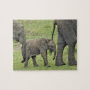 Recherche de éléphant africain puzzles Bébé