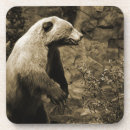 Search for conservative coasters Vintage