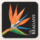 Recherche de paradis dessous de verres Tropical