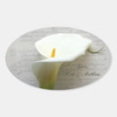 Search for lily stickers Pretty