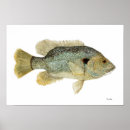 Recherche de thé vert posters Aquarelle