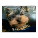 Search for terrier calendars Yorkie