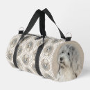 Recherche de bichon sacs Havanais