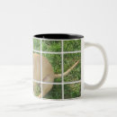 Recherche de bsl tasses Puits