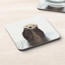 Recherche de loutre bar Loutre de rivière