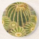 Search for mexico barware Tropical