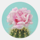 Search for cactus bloom stickers Desert